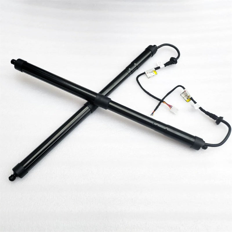 OE 6891042060  Rear Trunk Liftgate Power Hatch Lift Support Opener For Toyota RAV4 RAV-4  2019-2022  Electric Tailgate Gas Struts